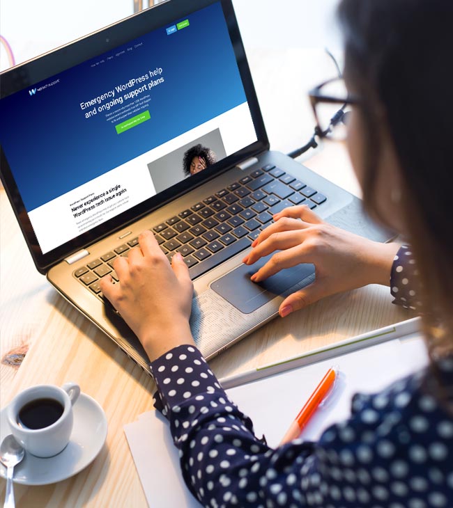 Proactive, Preventative <br/> WordPress Support 